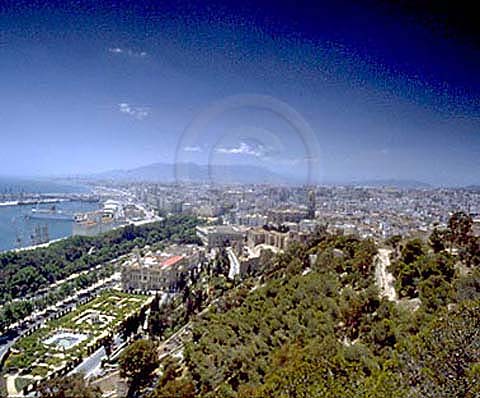 Imagen 18 Floristeria Maranatha foto